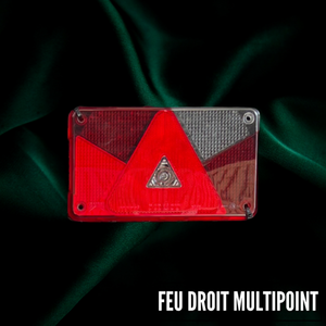 Faro Posteriore Destro Multipoint 5 - Product Image 1