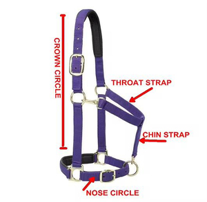 Harnais rose en nylon pour cheval avec rembourrage noir et boucles métalliques pour l'équitation et l'entraînement - Product Image 4
