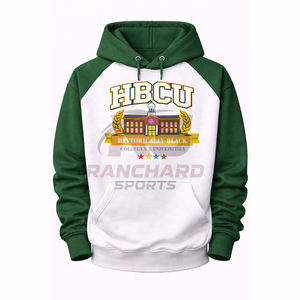 Hoodie personnalisé pour les universités et les collèges HBCU, look stylé, chaud, confortable, durable, professionnel. - Product Image 1