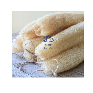 LIMITED OFFER Safe Clean Eco Loofah <b>Sponge</b> 2026 Pure Plant Fiber Pad Best For Skin Cleansing And Kitchen Cleaning Direct Price - Product Image 1