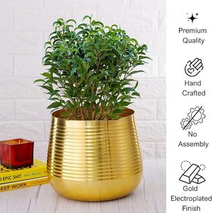 Pot de fleurs moderne en métal plaqué or avec motif circulaire pour plantes d'intérieur, style minimaliste - Product Image 6
