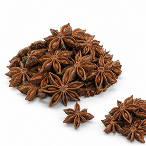 Best Selling Factory Price International Standard Vietnam Manufacturer Supply Star Anise Bulk Supply - Product Image 6