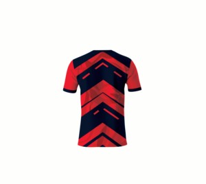 T-shirts en polyester de haute qualité pour sublimation, vierges, pour impression personnalisée, hommes, femmes, enfants, commandes en gros. - Product Image 2