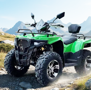 Motocicleta Todoterreno de Gasolina para Adultos, 200/300 4x2/400CC4x4, ATV de Cuatro Ruedas en Venta - Product Image 1