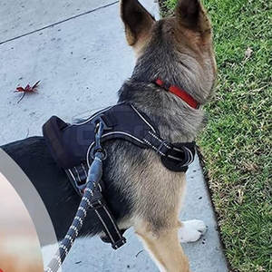 Harnais anti-traction pour animaux de compagnie avec clips avant et arrière, en tissu respirant, confortable et de contrôle efficace pour la promenade, l'entraînement et la course - Product Image 6