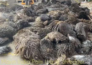 Trituradora de racimos de frutas vacíos más vendida, trituradora de doble eje semiautomática, máquina trituradora de materiales orgánicos - Product Image 2