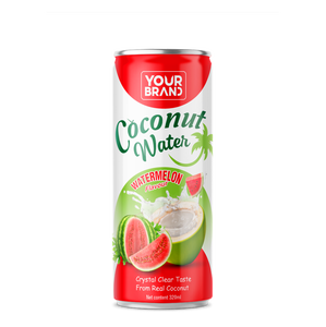 Agua de Coco 100% Pura, Baja en Grasa, 320 ml, en Lata de Aluminio Esterilizada, Marca Privada, OEM, Distribución Global - Product Image 1