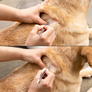 Pinzas para remover garrapatas de perros y gatos, de acero inoxidable de grado quirúrgico, herramientas para el cuidado de mascotas, 2 en 1, pinzas para remover garrapatas, gran venta. - Product Image 5