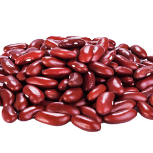 Semillas Secas de Frijol Rojo Orgánico 100% Puro para Exportación a Granel con Procesamiento Limpio, Sabor Natural y Empaque Seguro - Product Image 1