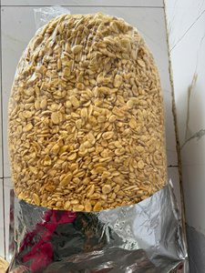 Chips de banane séchées de qualité supérieure, croustillantes, collation de fruits tropicaux, Vietnam, faible teneur en matières grasses, prix de gros, approvisionnement en vrac, chips de banane fiables - Product Image 3