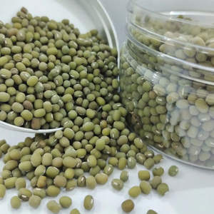 2026 Organic Dried Green Mung <b>Beans</b> Vacuum Pack FD Process Wholesale High Quality Premium Guaranteed 10kg 24 Months Shelf Life - Product Image 3