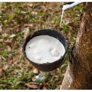 Caucho de Látex Blanco Natural de Primera Calidad del Reino Unido, Caucho de Látex Natural Original en Venta - Product Image 3