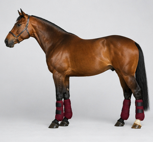 Bottes de protection en néoprène pour l'équitation, absorbant les chocs, respirantes, durables, protection des jambes, fournisseur OEM, bottes d'équitation - Product Image 3