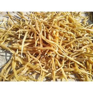 Complément alimentaire à base de racine pure de Shatavari (Asparagus Racemosus) pour la santé et le bien-être des femmes, prix de gros - Product Image 6