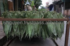 Hojas de bambú secadas al sol naturales 100% tamaño grande 9cm + precio competitivo para hacer pasteles directamente desde Vietnam - Product Image 6