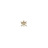 Insignes Maçonniques en Cuir de Qualité Supérieure Rite Français, Bijoux d'Officier Francs, Légers, Personnalisables (Couleur, Logo, Étoile Provinciale)