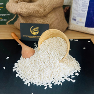 Riz Glutineux Jasmin du Sud du Mekong, Vietnam, Séché, Doux, 5% de brisure, Nouvelle Récolte, Blanc, Durée de Conservation 2 Ans, Export An Giang, 14% d'humidité - Product Image 1