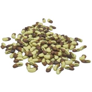 Semillas de Frijol Largo BCA-EH de Primera Calidad, Alta Germinación, Calidad Premium, 100% Puro, Indonesio Jember, Superventas, 6 Meses de Duración - Product Image 3