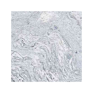 Dalles de granit blanc Viscount pour maisons contemporaines, espaces commerciaux et projets architecturaux - Product Image 5