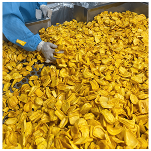 Jackfruit séché en vrac, fabriqué à partir de morceaux de jackfruit mûr, idéal pour les packs de collations, la vente au détail et comme garniture pour desserts, Vietnam. - Product Image 6