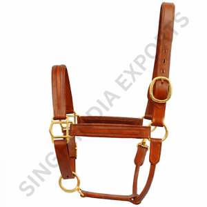 <b>Empty</b> Channel Horse Halter Genuine Leather Padded Adjustable Headcollar with Solid Brass Hardware Premium Equestrian Tack - Product Image 4