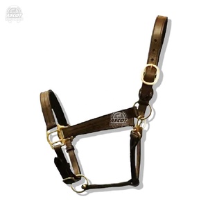 Diseñador occidental Inglés Saddle Horse Halter Premium Negro Marrón Cuero con accesorios SS Precio asequible - Product Image 3