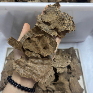 Incienso de Agarwood OEM, Varillas de Incienso de Madera de Agarwood Cultivada en Vietnam, Esencia Natural de Oud - ¡La Verdadera Esencia de la Naturaleza! - Product Image 3