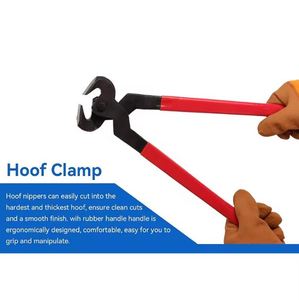 Instrumentos de Herrador de Acero Inoxidable de Grado Superior con Certificación CE Clase II, Incluye Alicates, Cortadores, Cuchillo y Lima para Pezuñas - Product Image 5