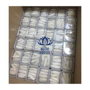 คุ้มค่ากับราคา 2026 กระดูกปลาหมึกสำหรับนก แหล่งแร่ธาตุสำหรับการตกแต่งจะงอยปากและการเคี้ยว - Product Image 1