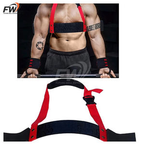 Armbandera de Alta Resistencia para Bíceps, de Grado Premium, para Levantamiento de Pesas, Culturismo y Fitness - Product Image 5