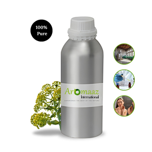 Aceite Esencial de Galbanum 100% Puro Destilado al Vapor 100ml, Aceite Antiinflamatorio para el Cuidado de la Piel, OEM/ODM, Etiqueta Privada, Control de Grasa Facial - Product Image 1