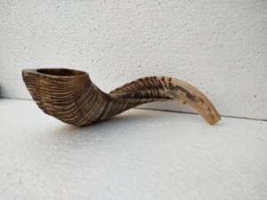 Shofar Pulido Hecho a Mano con Forma Natural de Cuerno de Carnero, Temática Animal, Coleccionable, para Ceremonias Religiosas por Curio Craft - Product Image 5