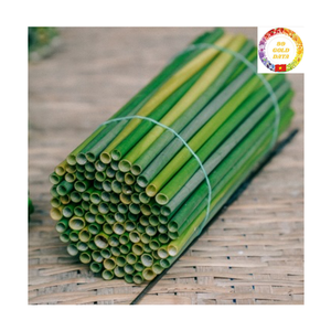 Organic Grass <b>Straws</b> | Natural Material Biodegradable | <b>Disposable</b> 200mm | Supplier For Hotel Restaurant Use - Product Image 1