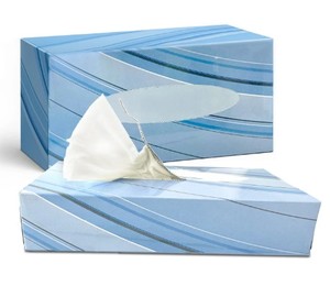 Custom Logo Recycled Paper Facial Tissue Paper 2 Ply 400 Pulls Hard Pack Hypoallergenic Tissue Supplier - Product Image 3