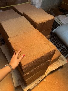 COCO PEAT บล็อกใยมะพร้าวสำหรับปลูกพืช  ดูดซับน้ำได้ดี พร้อมใช้งานสำหรับทำสวน ปลูกพืชแบบไฮโดรโปนิกส์ - Product Image 1