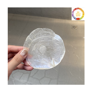 Capiz <b>Shell</b> Decoration | Colorful Round Polished <b>Shells</b> | DIY <b>Lighting</b> Fixtures | Factory Price Bulk - Product Image 4