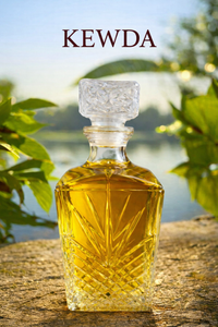 Pure Soul Kewda Attar-100% Pure Natural Organic Steam Distilled with Long Lasting Fragrance - Product Image 3