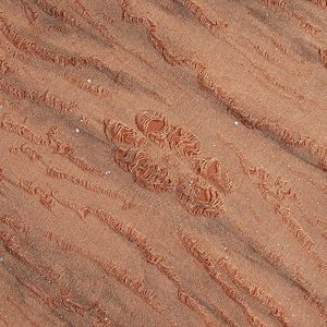 La Camiseta Esencial Perfecta - Tejido Preencogido - Color Duradero - Prenda Versátil para Cualquier Ocasión Ahora - Product Image 4