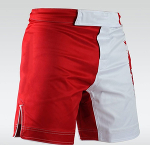 Pantalones Cortos de Boxeo Personalizados de Alta Calidad para Hombre con Diseño de Rayas Laterales, Nueva Ropa Deportiva de MMA - Product Image 4