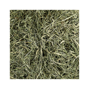 หญ้าทิโมธีขายส่ง ราคาถูก จำนวนมาก ส่งออกเร็ว จัดส่งรวดเร็ว - Product Image 6
