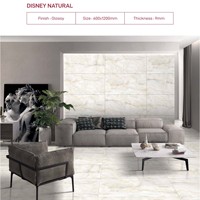 CLARE NATURAL Première Choix Carreaux de Porcelaine Polie Effet Onyx 24x48 Surface Brillante Carreaux Vitrifiés Appartement Moderne Céramique Novac