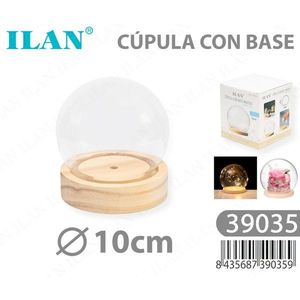 Domo Ilan con Base de 10 cm para Flores Preservadas - Product Image 3