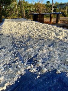 Poudre d'arrowroot du Vietnam 100% naturelle de qualité alimentaire, amidon d'arrowroot pour la pâtisserie et l'épaississement, fournisseur OEM en vrac pour l'exportation - Product Image 4