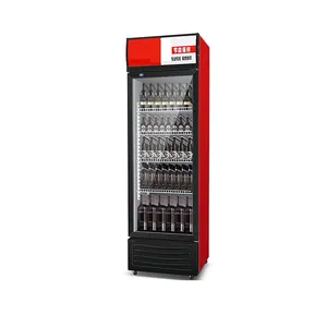 Kommerzieller vertikaler Gefrierschrank Getränke Kühlschrank aufrechter Kühlschrank Glastür Anzeige Gefrierschrank Kühlschrank Weinkühlschrank Schaukasten