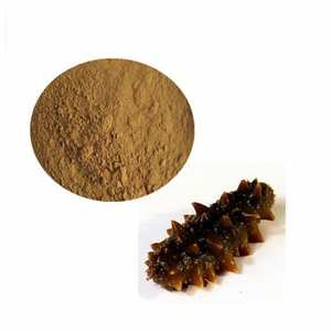 CHAUDE CHAUDE 2024 BON PRIX POUDRE DE CONCOMBRE DE MER DE QUALITÉ SUPÉRIEURE À EXPORTER DU VIETNAM - Product Image 1