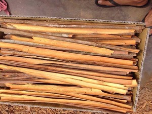SPLIT CASSIA CINNAMON STICK BEST QUALITY Dried Raw Natural Vietnam Export <b>Gap</b>/GMP/HACCP/KOSHER Certified 20kg Dried Sun Phalco - Product Image 3