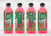 Natuurlijke Aloë Vera En Guave Gearomatiseerde Frisdranken Fruit & Groentesapconcentraat Met Oem Odm Voor Export