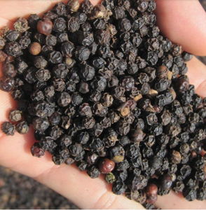 Poivre noir du Vietnam en grains entiers 500GL FAQ, poivre noir séché au soleil naturel, épices de haute qualité pour l'industrie alimentaire, export en vrac - Product Image 2