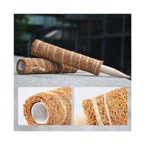 BEST SELLING Coir Stake For Unique Monstera Stem Upright Guiding And Useful Commercial Nursery <b>Plant</b> <b>Framing</b> Wholesales - Product Image 1
