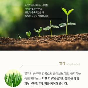 Crème pour les yeux et le visage Korea Gaon Sprout 50ml, crème K-Beauty au germe de blé et aux pousses de chou frisé pour le soin du visage et des yeux - Product Image 3